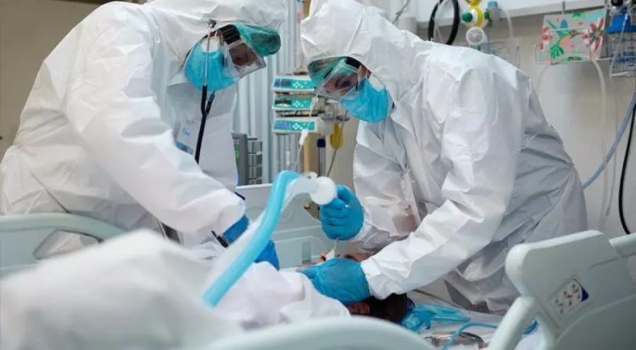 Kuş gribinden sonra şimdi de köpek gribi