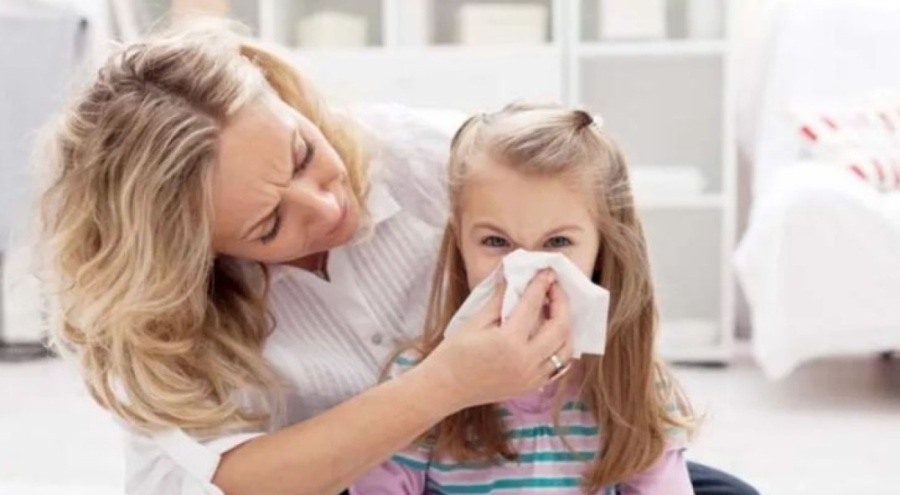 Bahar nezlesi yıl boyu sürer