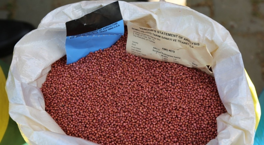 Bursa'da  6 bin 550 kilo sorgum otu dağıtıldı