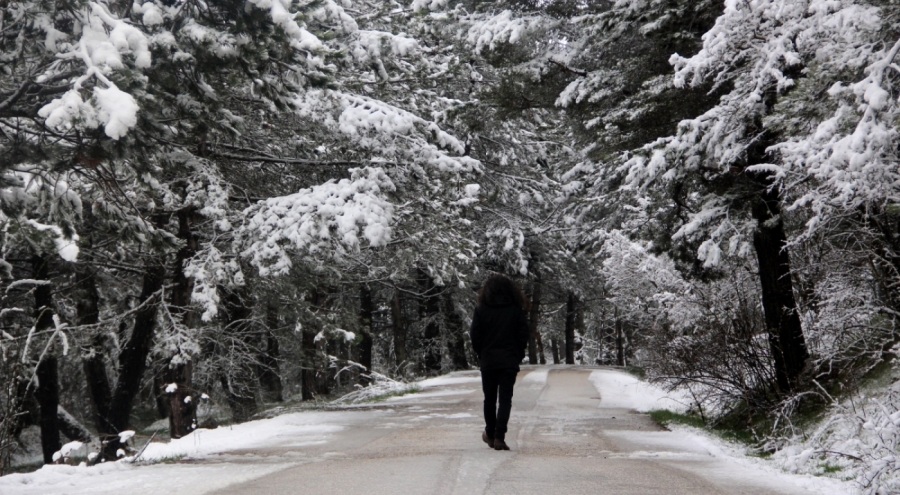 Bolu'da kar kalınlığı 10 santimetreye ulaştı