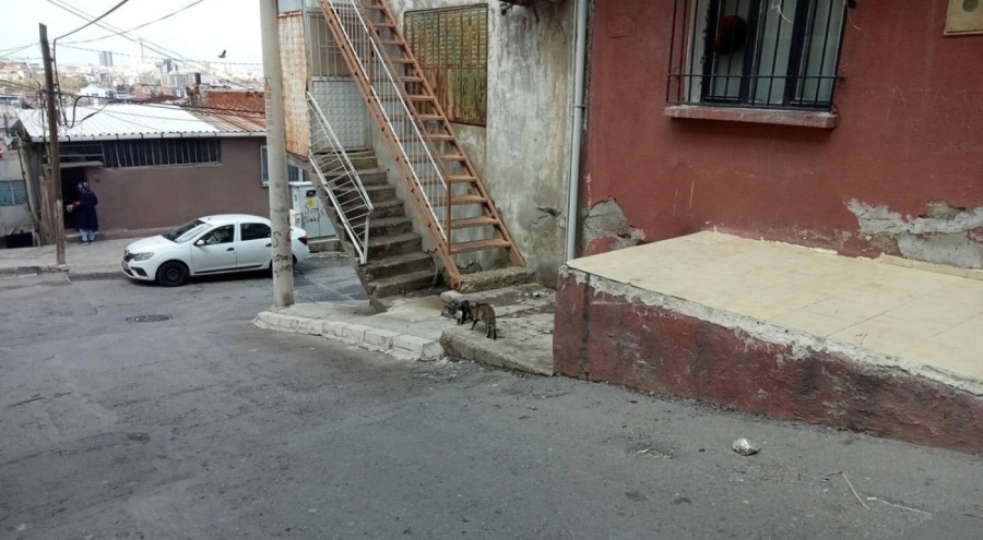 İzmir'de boşanma aşamasındaki eşi tarafından çocuğunun gözleri önünde öldürüldü