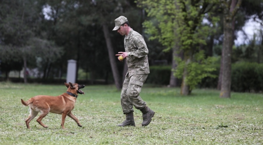 Bursa'da köpeklerin nefes kesen eğitimleri