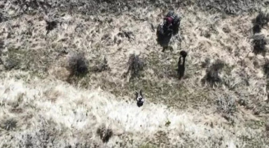 ABD'de kaybolan 3 yaşındaki çocuk, İHA yardımıyla bulundu