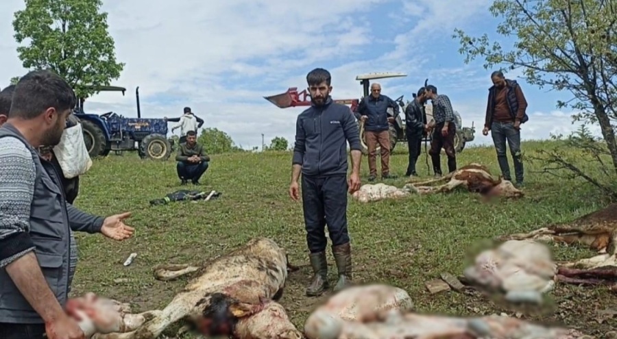 Diyarbakır'da yıldırım düştü! Çoban ağır yaralı