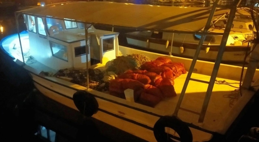 Piyasa değeri 2 milyon TL olan 1,5 tonluk midye ele geçirildi