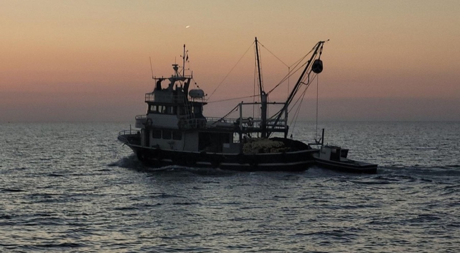 Depremzede balıkçılara destek