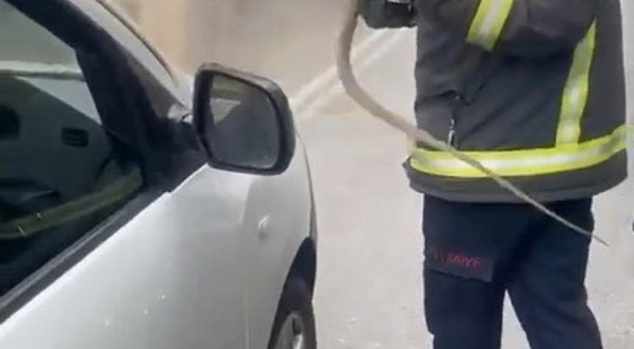 İstanbul'da aracın içinden 1,5 metre yılan çıktı