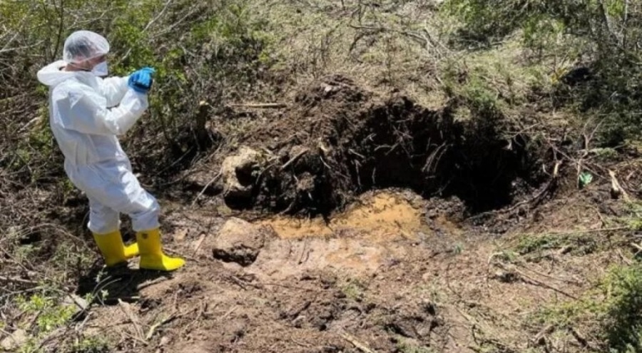 Acılı anneden kahreden sözler: 16 yıl evimin ışıklarını söndürmedim