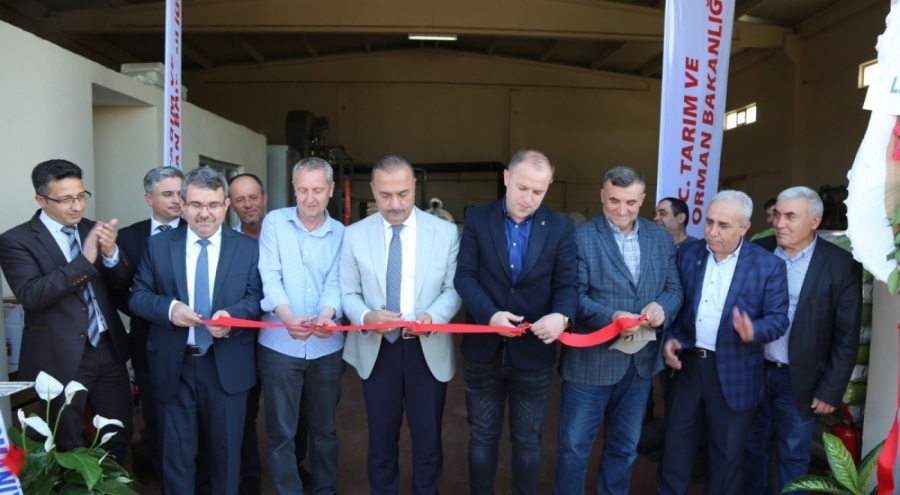 Bursa Yenişehir'de ayçiçek işleme tesisinin açılışı yapıldı