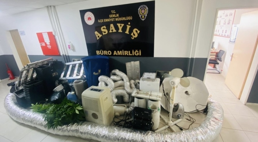 Bursa'da eve uyuşturucu baskını! Evini uyuşturucu serasına çevirmiş