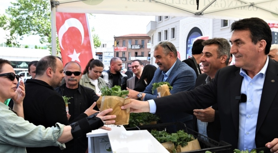 Bursa Osmangazi Belediyesi 1 milyon sebze fidesini vatandaşlara ulaştırdı