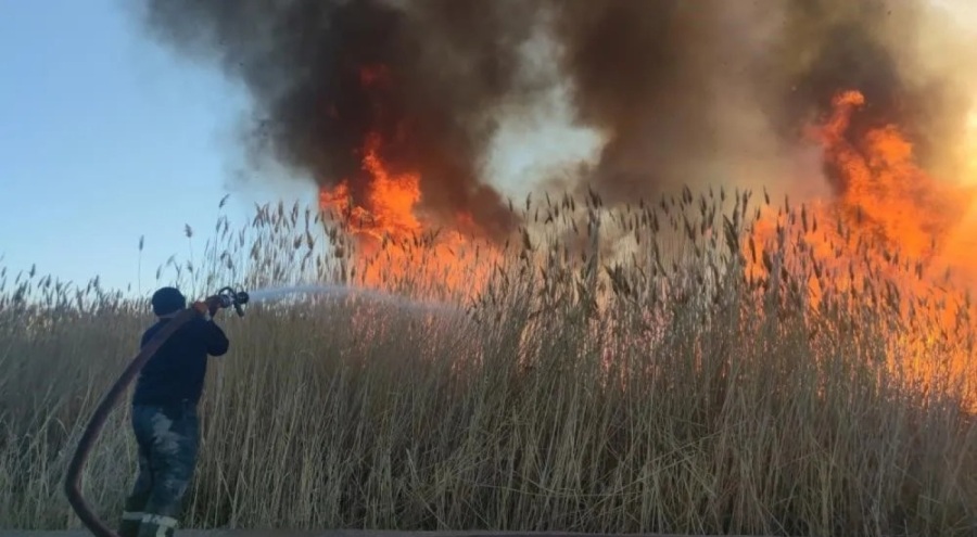 Van Gölü için "Acil önlem" çağrısı!