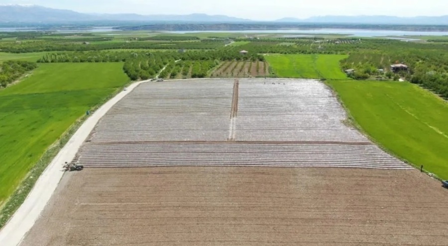 Deprem tarımı da vurdu! Çiftçiler tarlada çalışacak mevsimlik işçi bulamıyor