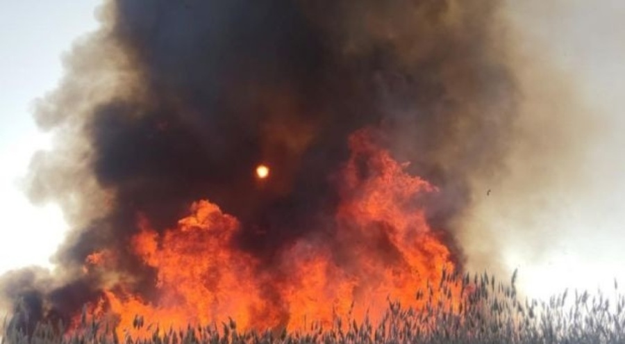 Van Gölü için acil önlem çağrısı