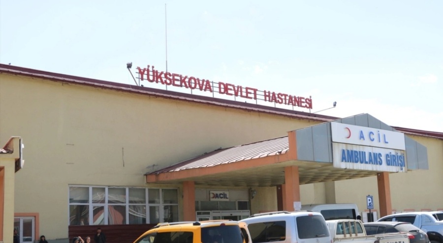 Pancar toplarken ayının saldırısına uğradı