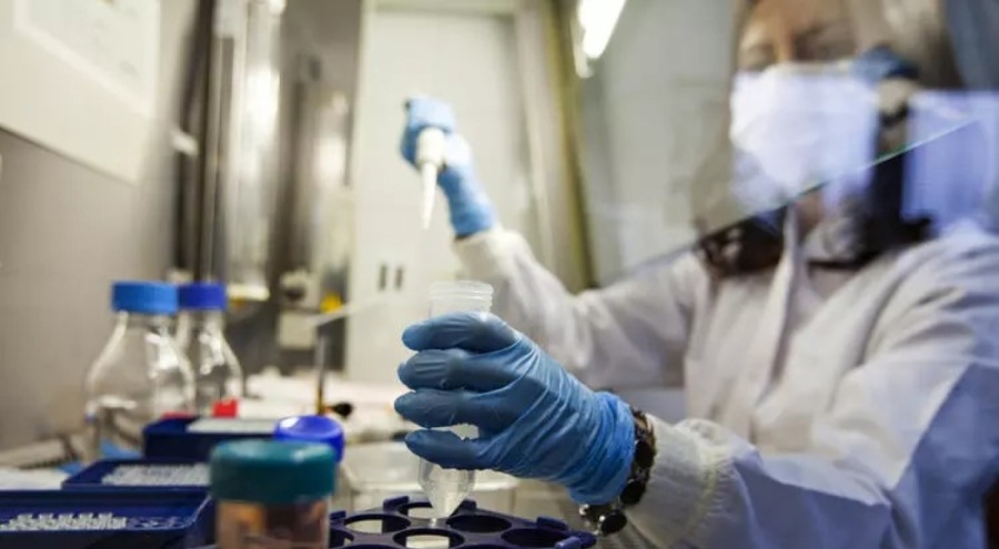 Uzmanları açıkladı!  Olgunlaşmamış yeşil muzlar kanser riskini azaltıyor