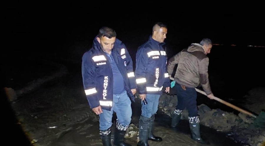 Van'da 2 ton inci kefali kurtarıldı