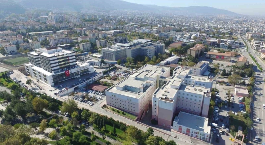 Bursa Yüksek İhtisas Eğitim Ve Araştırma Hastanesi'nde Dünya İnme Günü programı yapıldı