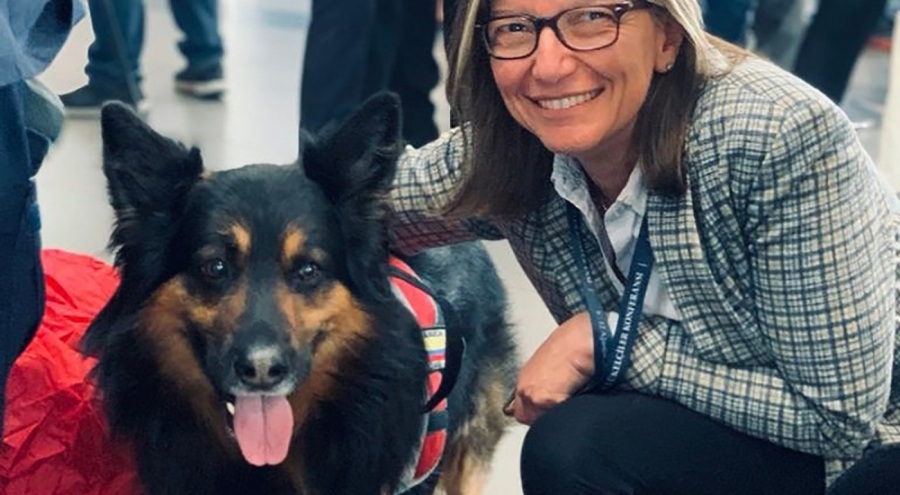 Depremde görev yapan Kolombiya ekibinin arama kurtarma köpeği Aaron hayatını kaybetti