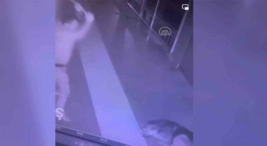 Rize'de, sokaktaki köpeğe süpürge ile vuran saldırgan gözaltına alındı