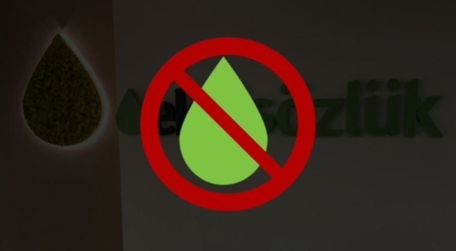 Seçim öncesi Ekşi Sözlük'e erişim engeli