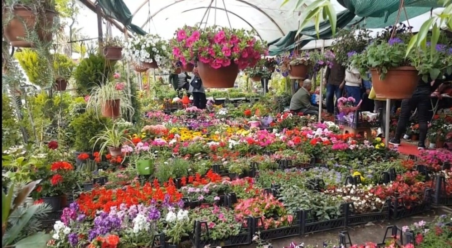 Edirne'de seçim gününde anneler unutulmadı