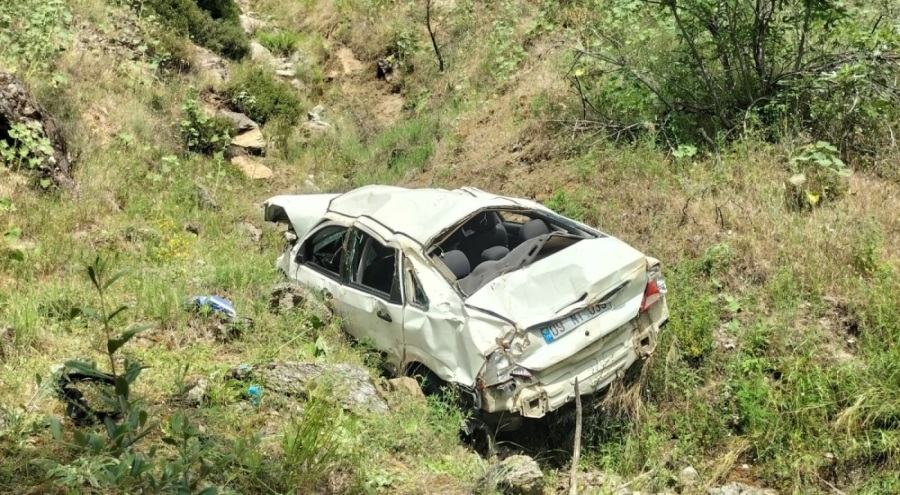 Otomobil şarampole devrildi