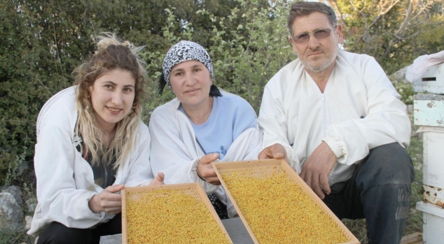 Mersin'de tuzaklarla elde ediliyor, 300 liradan satılıyor