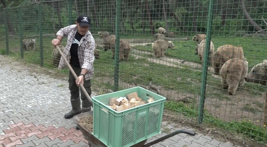 Bursa'da ayı barınağının ekmeği özel fırından