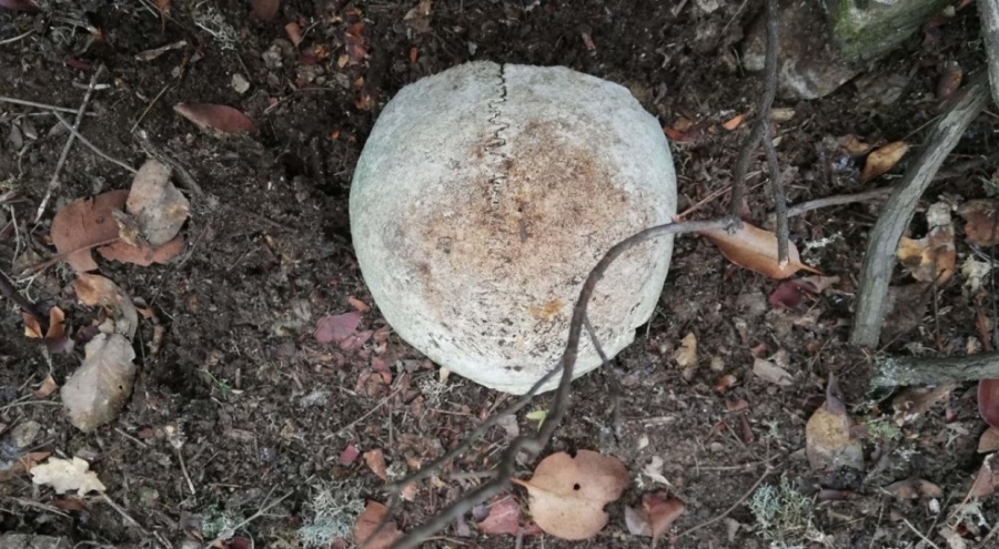 Çanakkale'de 108 yıl sonra kayıp şehitlik bulundu!