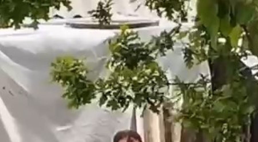 Bursa'da bahçesine giren yılanı elleriyle yakaladı: İzleyenler gözlerine inanamadı