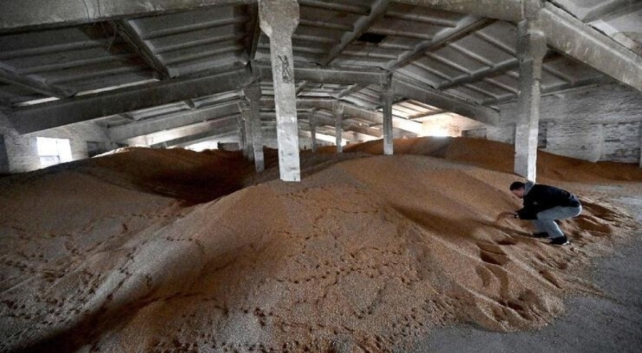 Tahıl anlaşması için kritik 24 saat