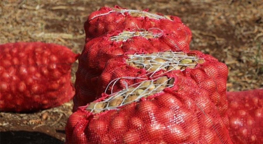 Soğanın fiyatı 4 liraya kadar geriledi