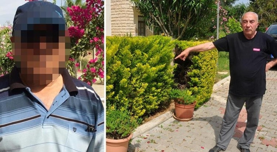 Komşusunun ağaçlarını kesmekten, 6 yıl hapsi istendi