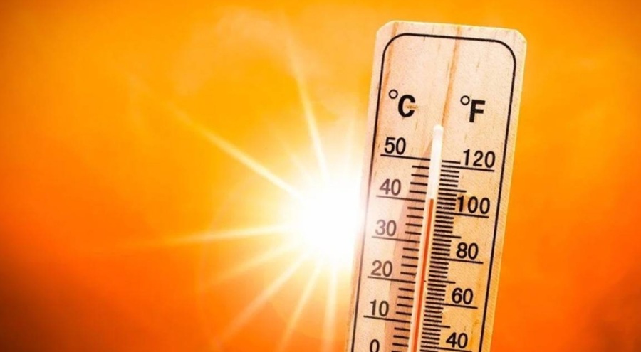 DMÖ: Dünya alarm veriyor