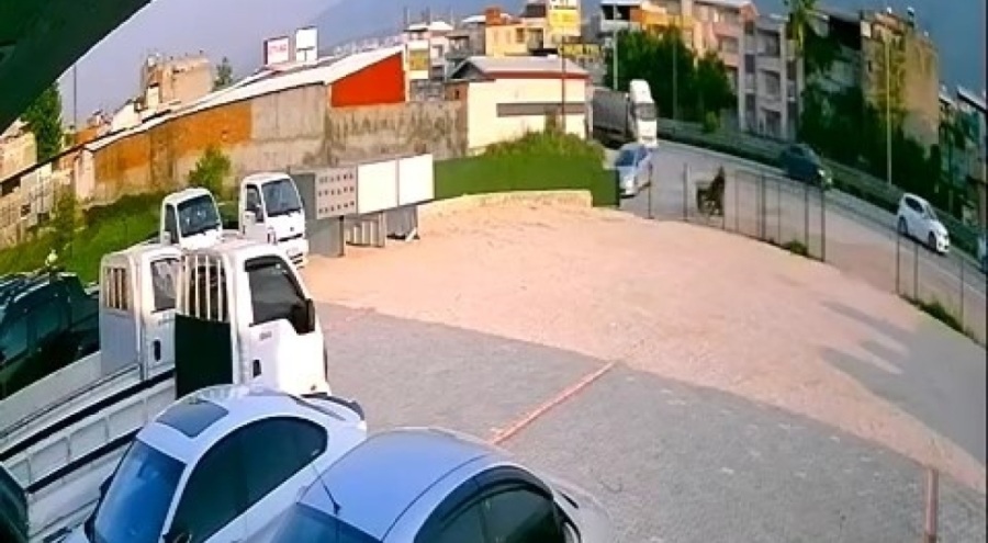 Bursa'da başıboş at demir korkuluklara çarparak can verdi!