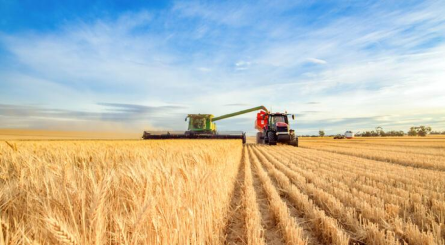 Tarımsal girdi fiyat endeksi Mart'ta yükseldi