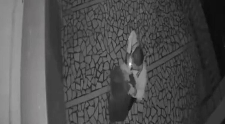 Genç kıza şiddet kamerayla kaydedildi