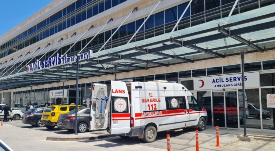 Bodrum'da iki kardeşin ölümüne tarım ilacı sebep olmuş