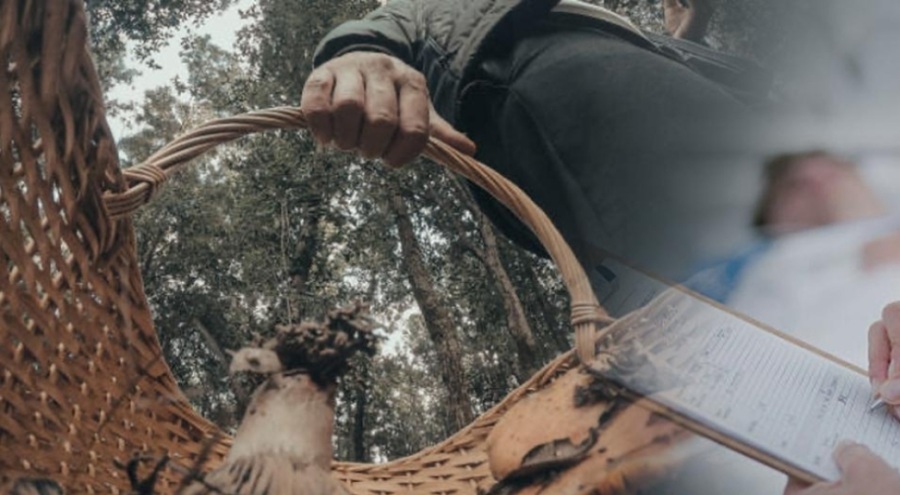 Yedikleri mantar 4 kişiyi zehirledi