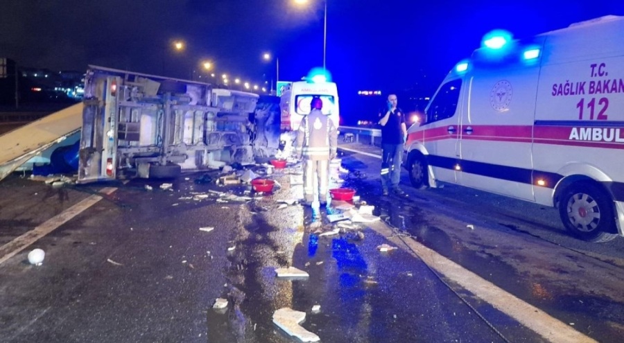 TEM'de balık yüklü kamyonet devrildi: 2 yaralı