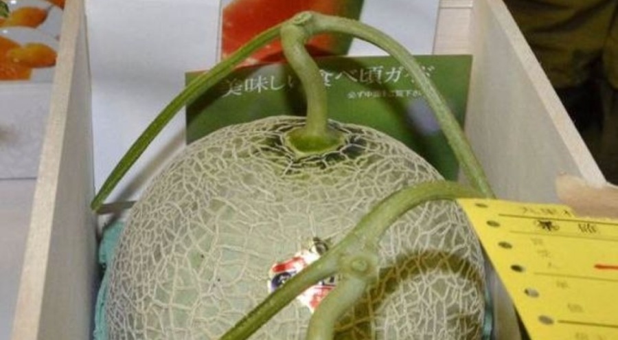 Yubari kavunları 3.5 milyon yene satıldı