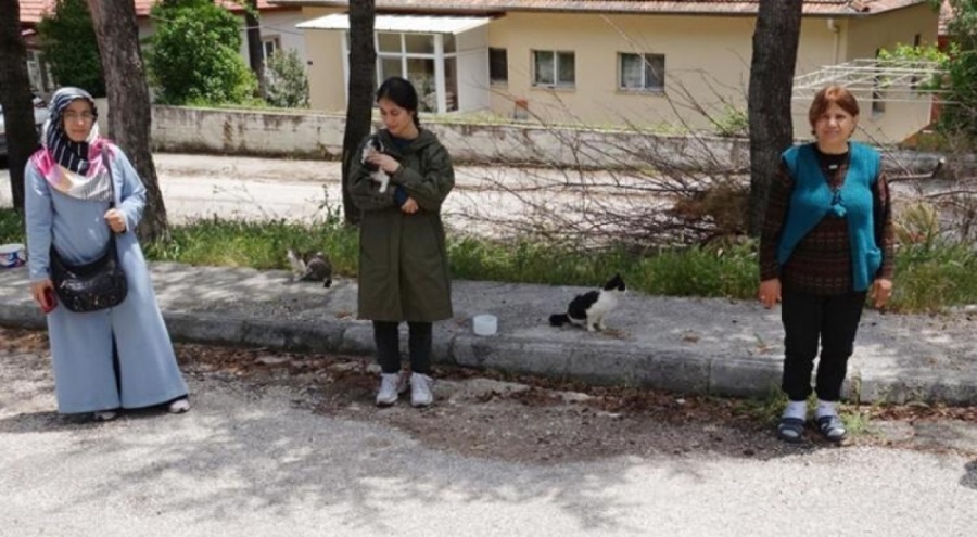 Isparta'da mahallelinin beslediği kedi, ayakları kesilmiş halde ölü bulundu