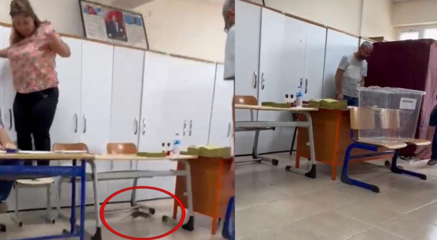 Hatay'da oy kullanılan okulda fare alarmı
