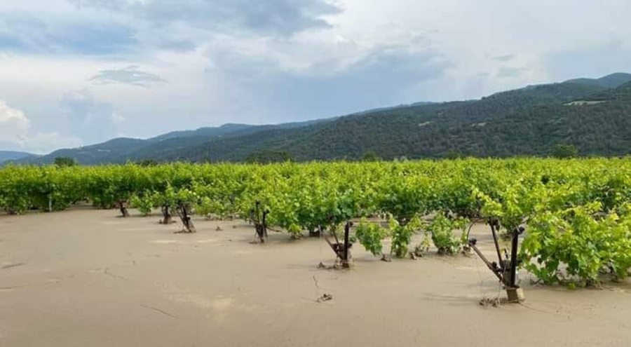 Manisa'da üzüm bağları göle döndü