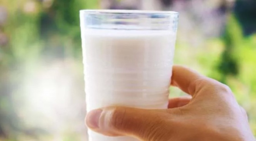 Süt her yaş grubu için önemli