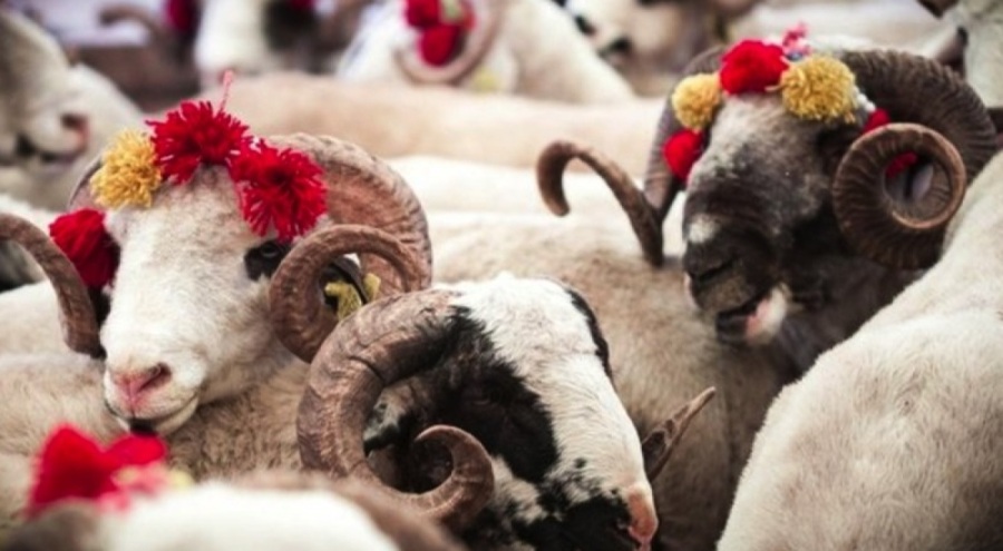 Kurban Bayramı tatili 9 güne çıkacak mı?