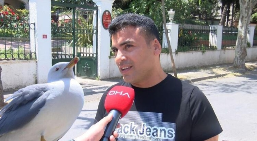 Martının kaptığı kulak davasında sanık olayı anlattı