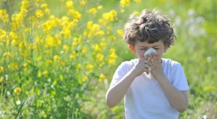 Mevsimsel alerjik rinit çocukların sosyalleşmesini etkiliyor