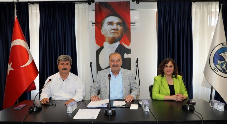Bursa Çağrışan, Göynüklü ve Bademli köy içi imar planları kabul edildi